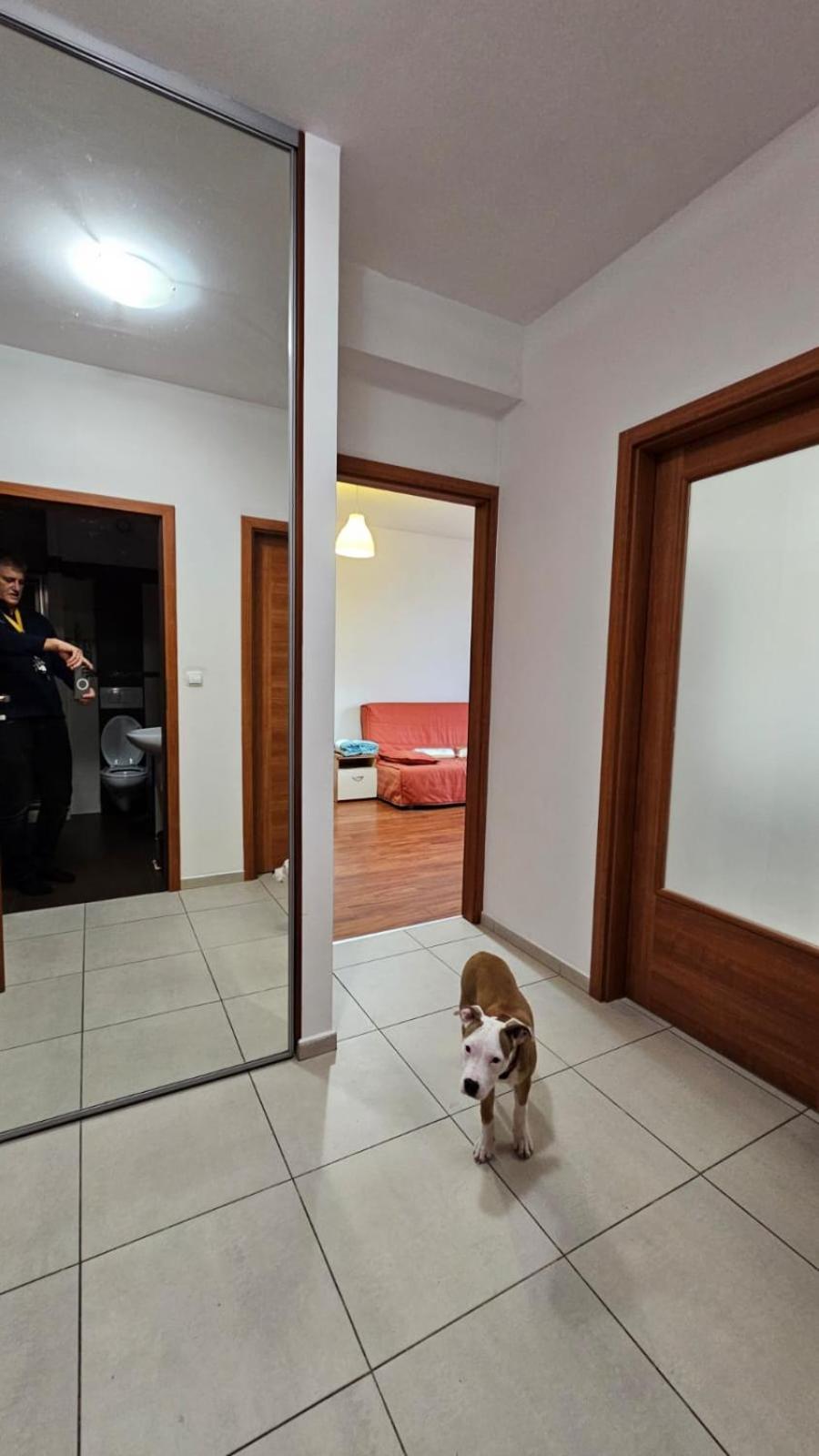Lipinskiego Appartement