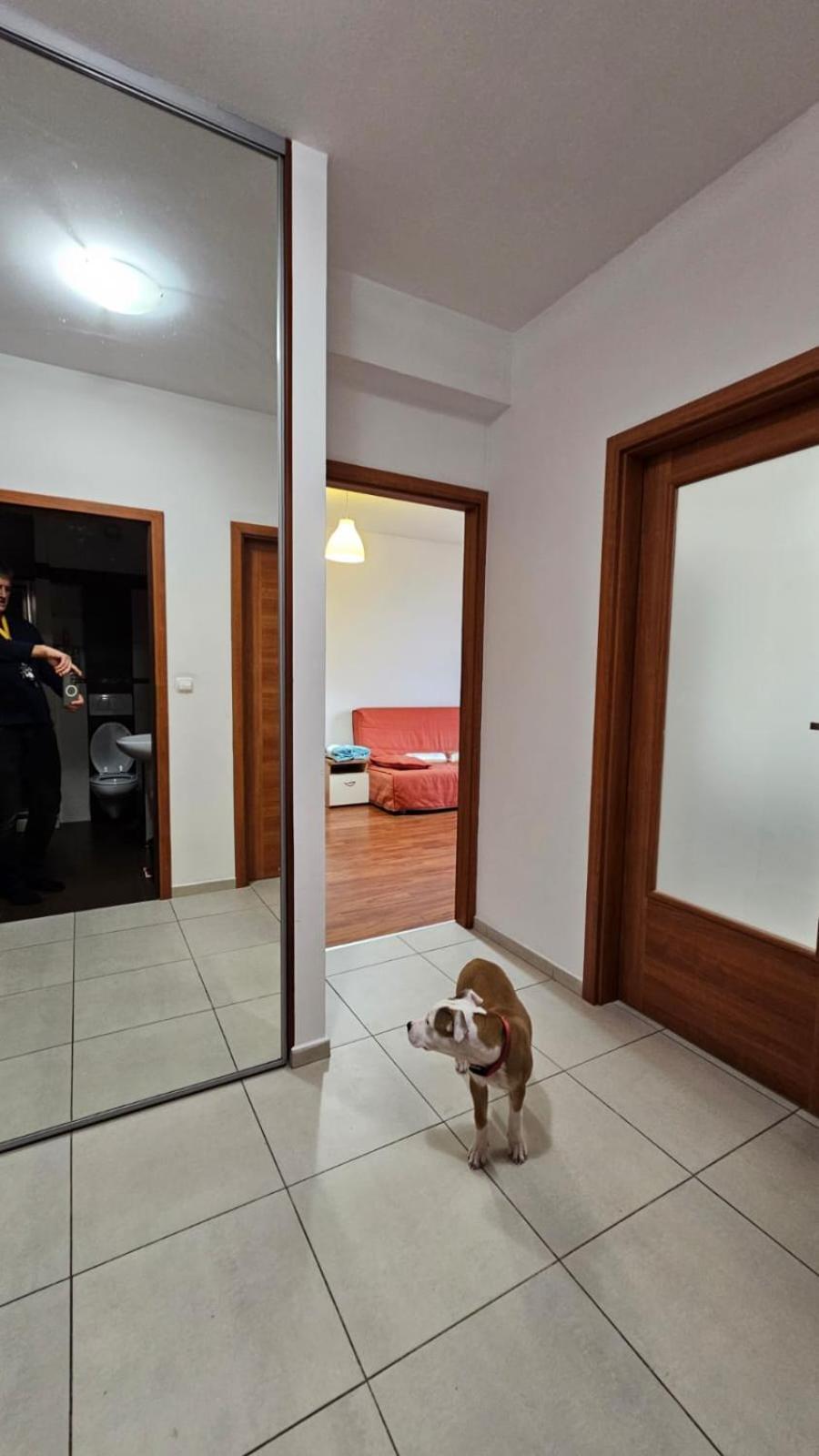 Lipinskiego Appartement Krakau